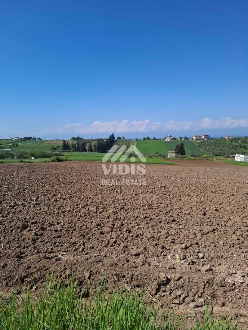 property-img